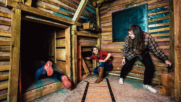 With determination, three players within the cabin seek out clue openings