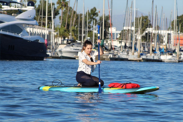 Paddle Board Sea Lions