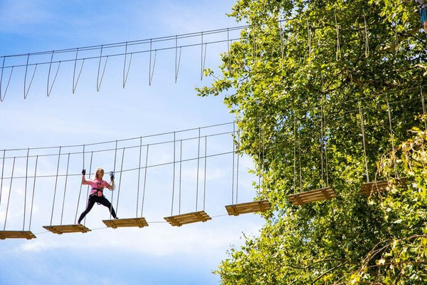 Zipping through forest