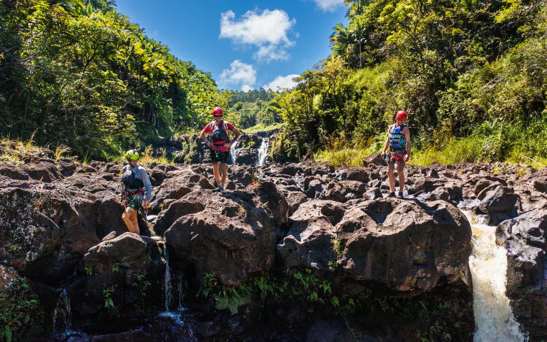 people at a waterfall