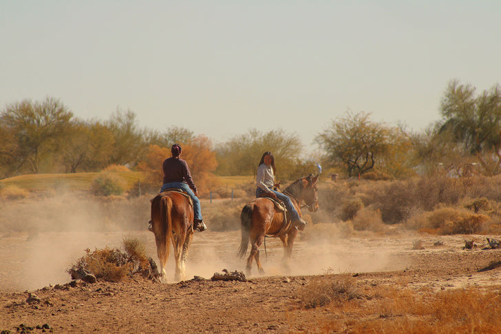 Guided 90 Minute Group Horseback Ride with Expert Wranglers