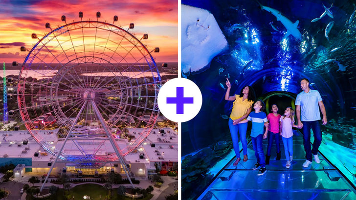 The Orlando Eye & SEA LIFE Orlando Admission