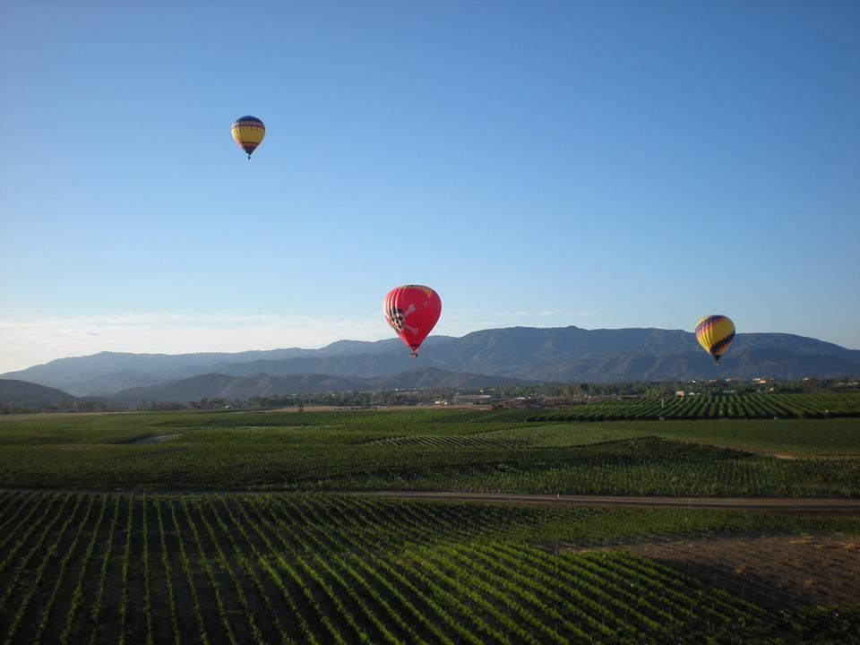 3-hot-air-balloons-flying-over-field