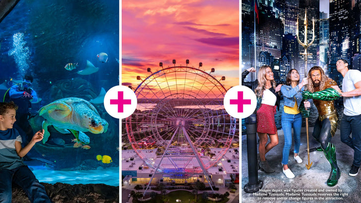 Madame Tussauds Orlando, SEA LIFE Aquarium & The Orlando Eye Admission