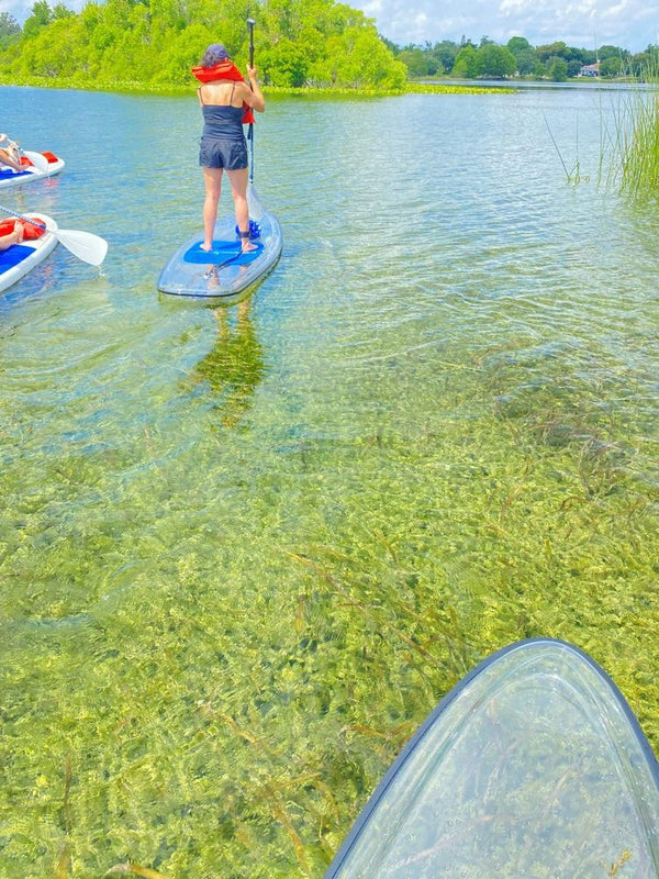 52819510580_0a34d96afd_o-jpg