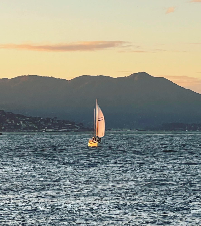 90 minute sail.png