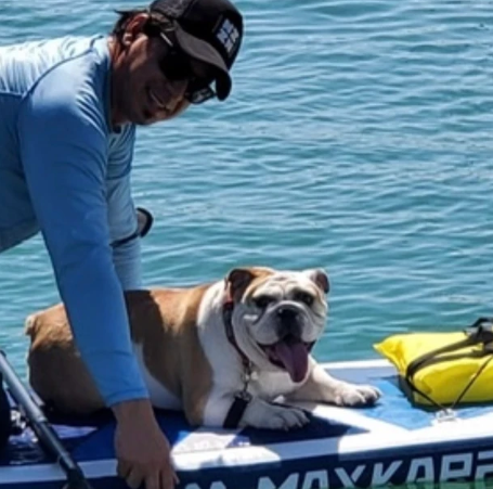 Dog on Paddle Board