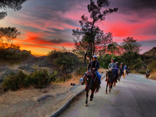 Group riding with sunset