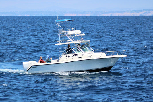 San Diego Whale Watch Boat.jpeg