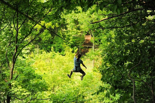 Treetop adventure zipline