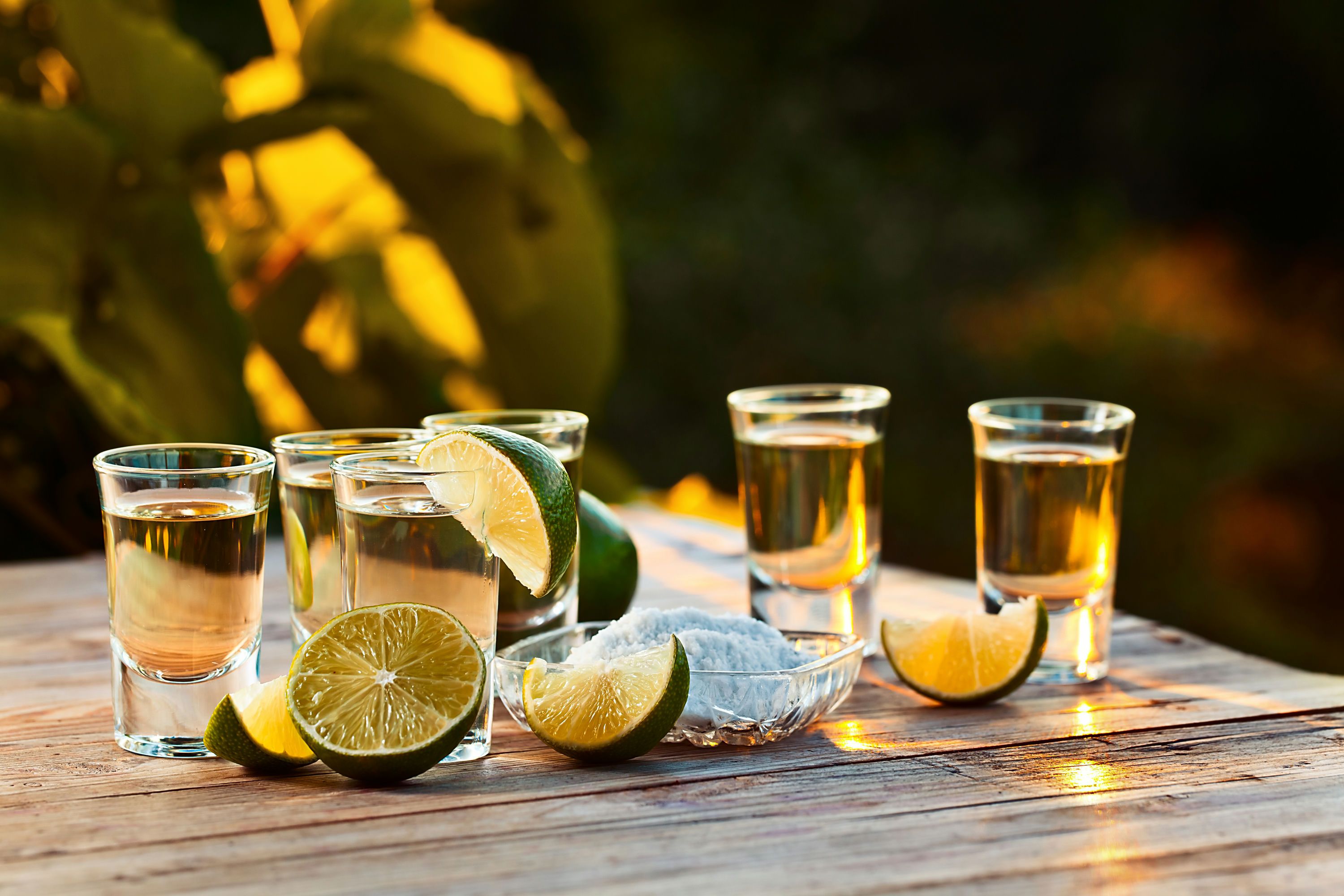 Los Angeles Tequila Tasting Workshop – Giftory
