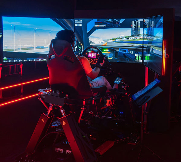 AI driving experience
