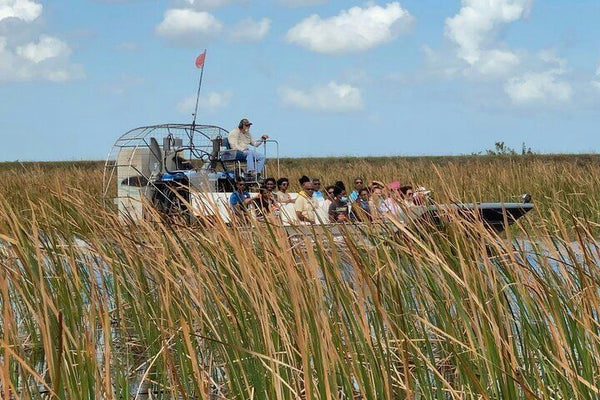 airboat through everglades