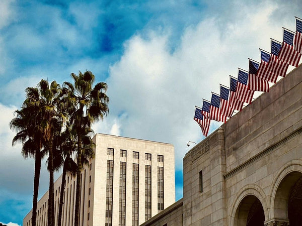 american-flags-in-la