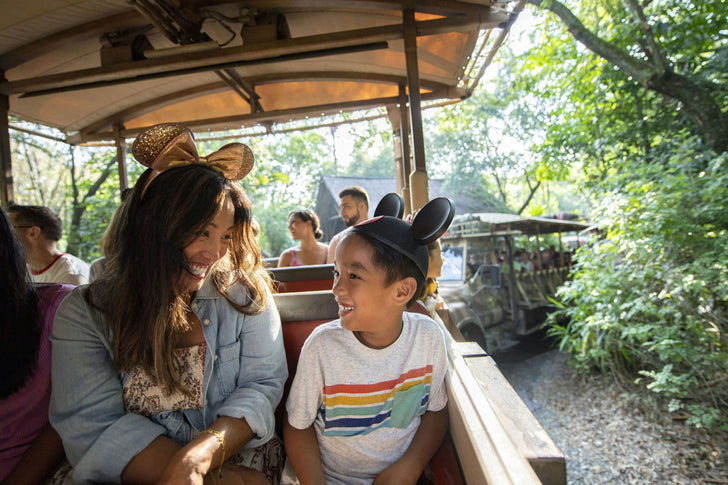 Walt Disney World® Resort 1-Day Animal Kingdom® Theme Park Ticket