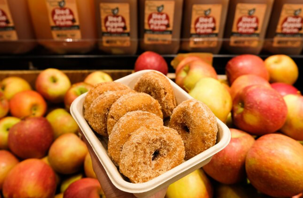 apple-cide-donuts