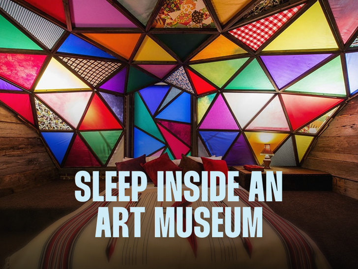 Sleep Inside an Art Museum