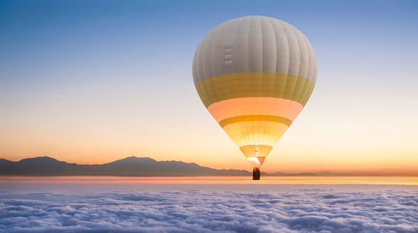 Flying High