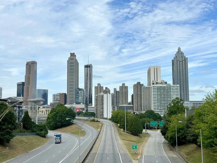 Ultimate City of Atlanta Guided Private Sight Seeing Tour