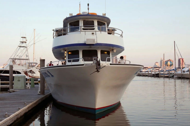 Atlantic City Dolphin Watching Adventure Cruise