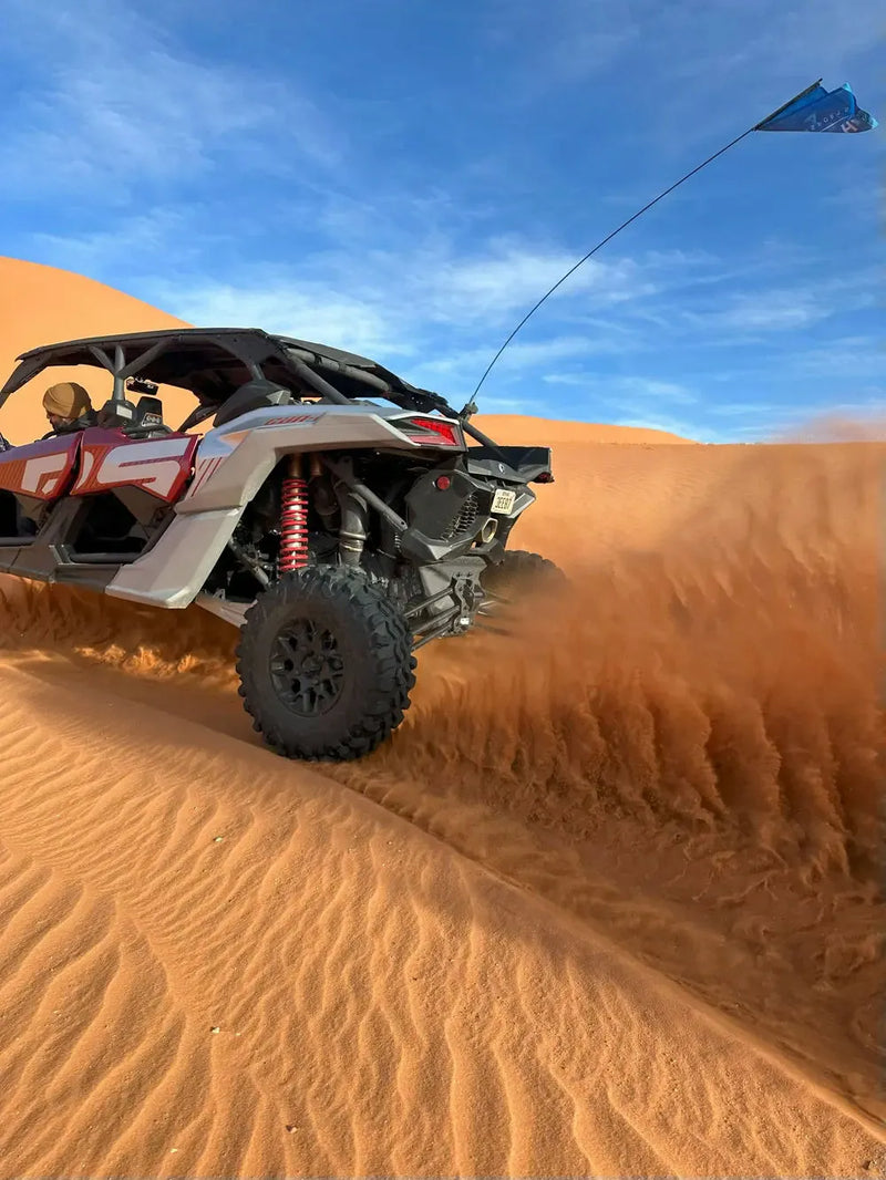 backcountry-atv-tour-zion-sand-dunes-view.webp