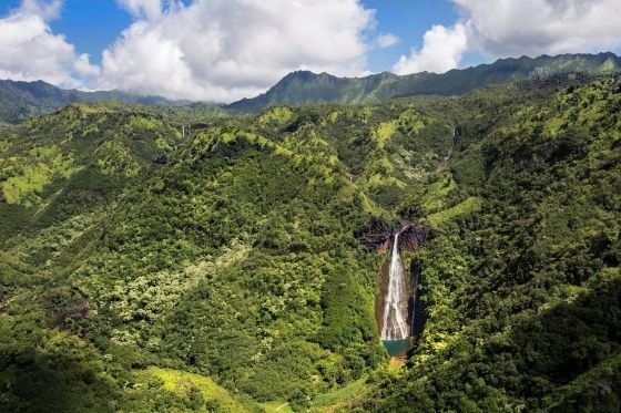 Mt-Wailaleale-Air-Kauai-large.jpg