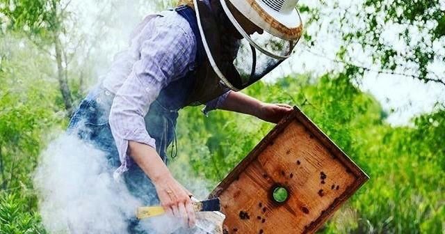bee-keeper-with-smoke-jpeg