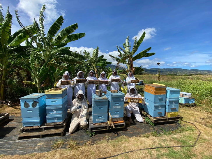 Oahu Bee Farm Tour & Honey Tasting
