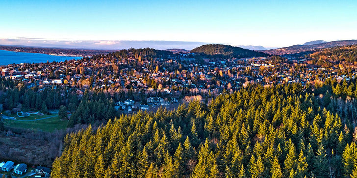 Bellingham Family Mystery Picnic