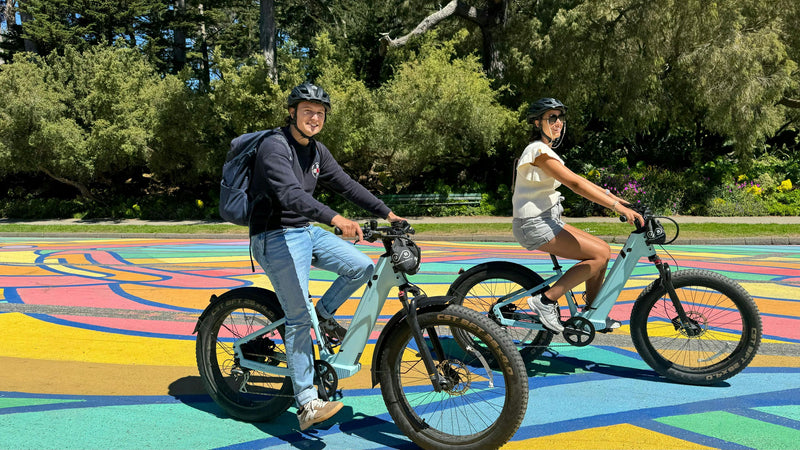 Best of San Francisco eBike Tour colorful road.jpeg