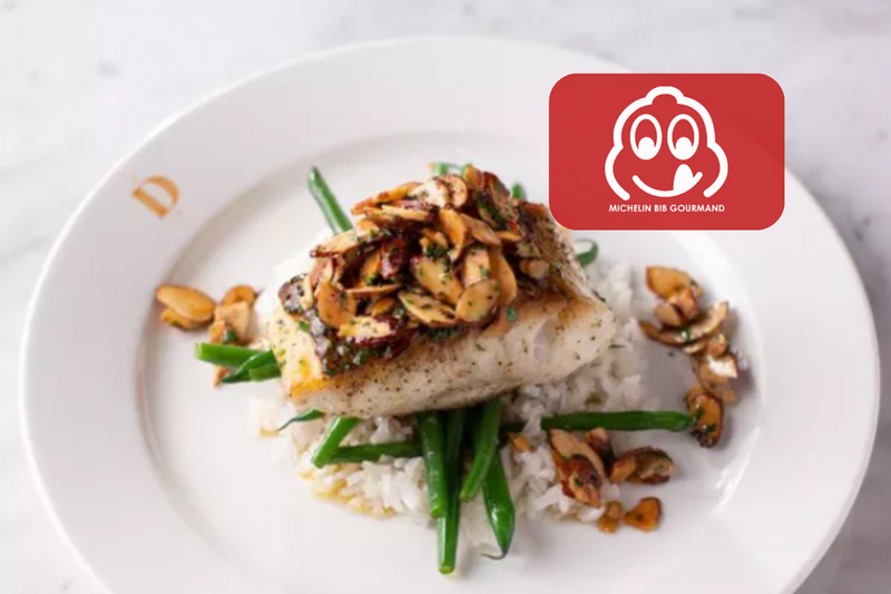 bib dc logo fish dish