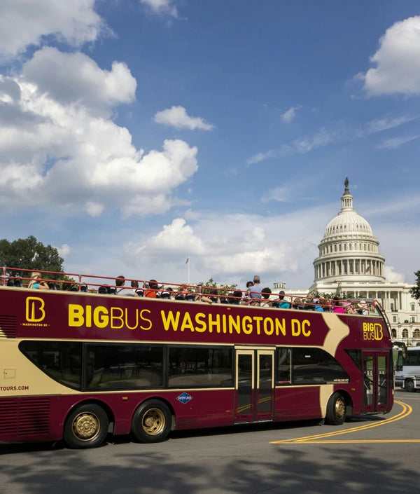 daytime big bus tour dc.jpg