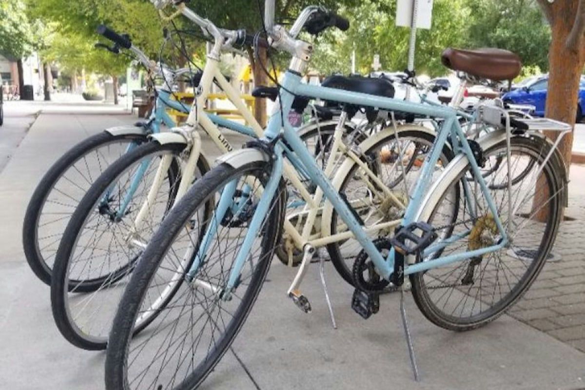 bikes-lined-up