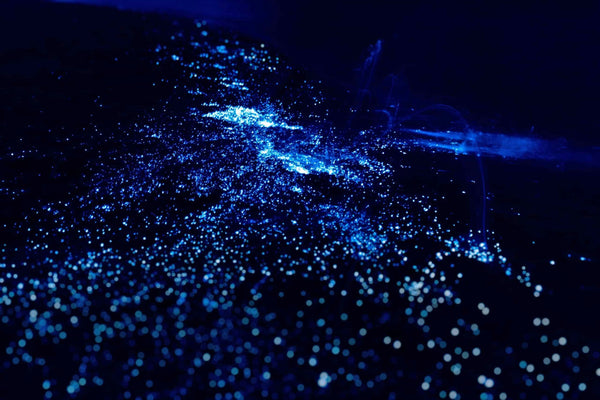 bioluminescence-jpeg
