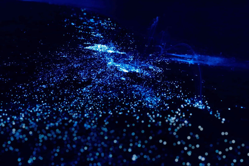 bioluminescence-jpeg