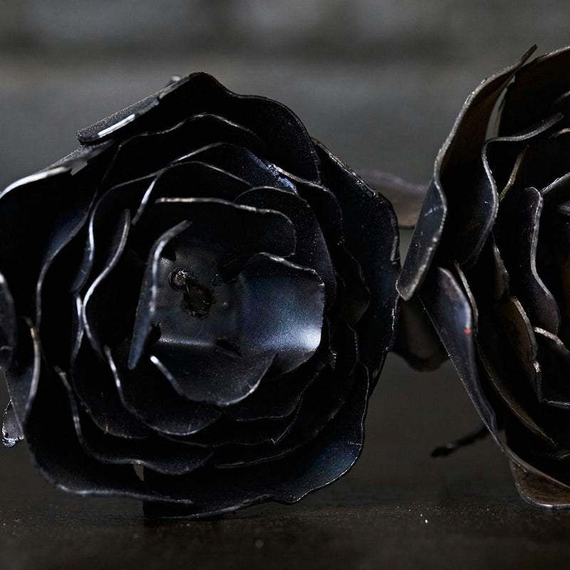 black-roses