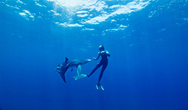 Blue and Mako Shark Offshore Expedition diving next to shark.jpg
