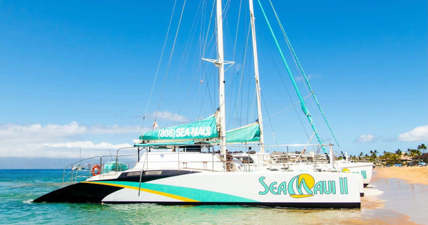 boat-on-beach-jpg