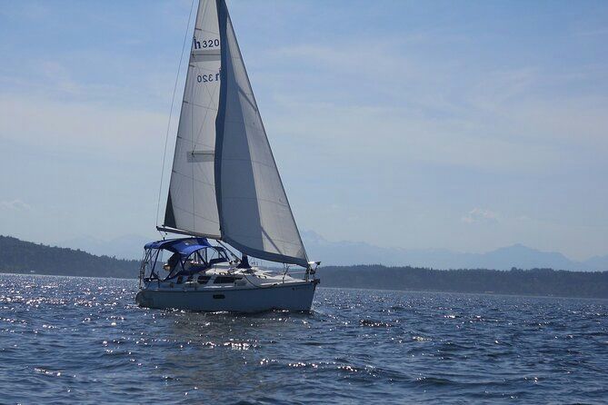 boat-sailing-on-the-water