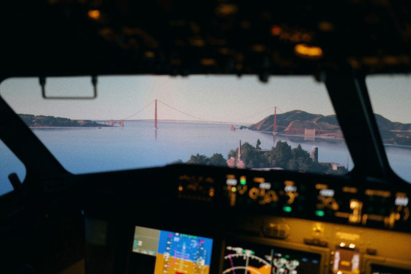 Boeing 737 Max Economy Flight Simulator view