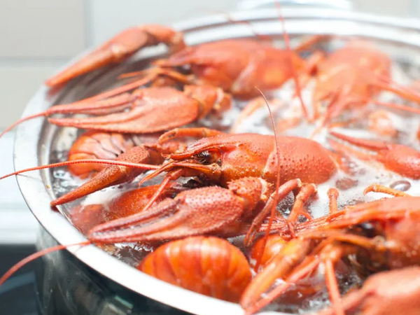 Gumbo in a pot.png