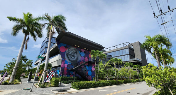 building with mural in florida.jpeg
