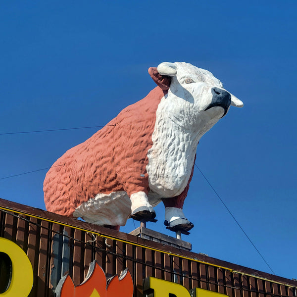 bull-statue