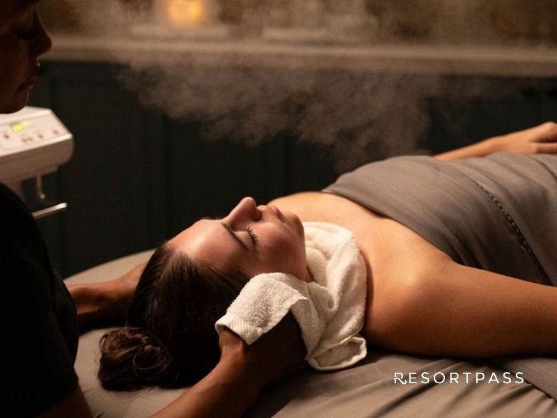 burke-williams-day-spa-spa-style-facial-spa-style-facial-hero-logo.jpg