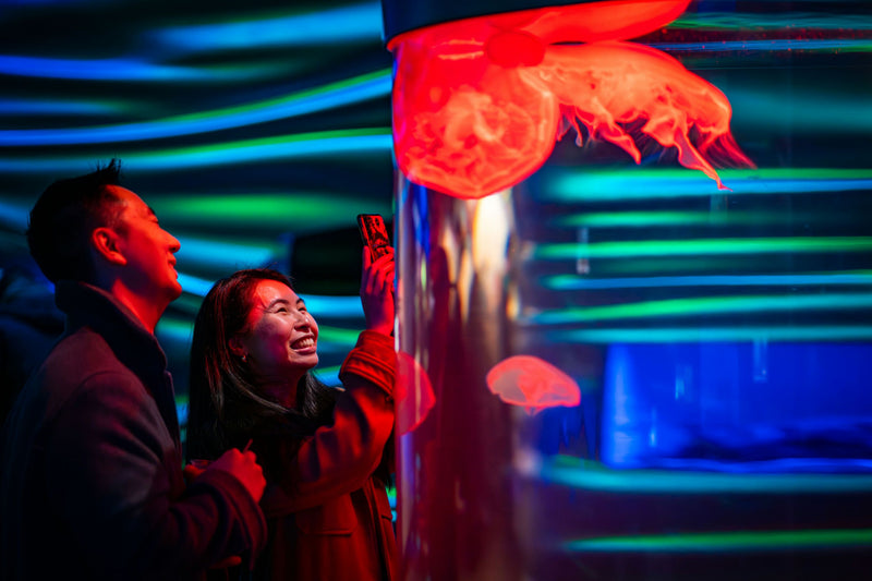 california-academy-of-sciences-nightlife-san-francisco-ca-after-hours-scene.jpg