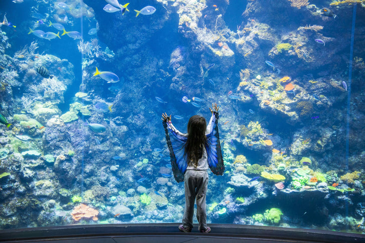 California Academy of Sciences General Admission in San Francisco