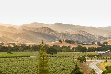 capay-valley-farm-tour-landscape-jpeg