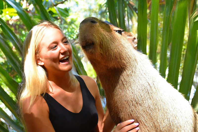 capybara-encounter-jpg