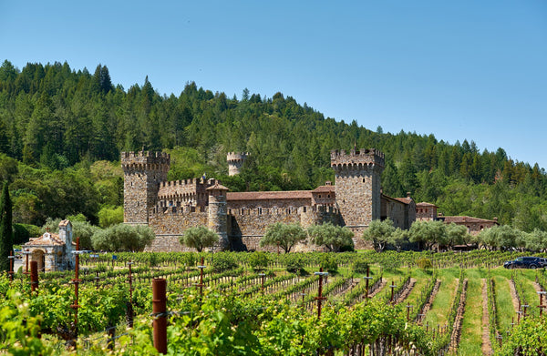 couple with wine glasses in castle