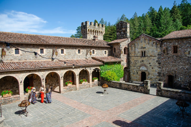Redwoods & California Wine Country Tour with Gourmet Lunch